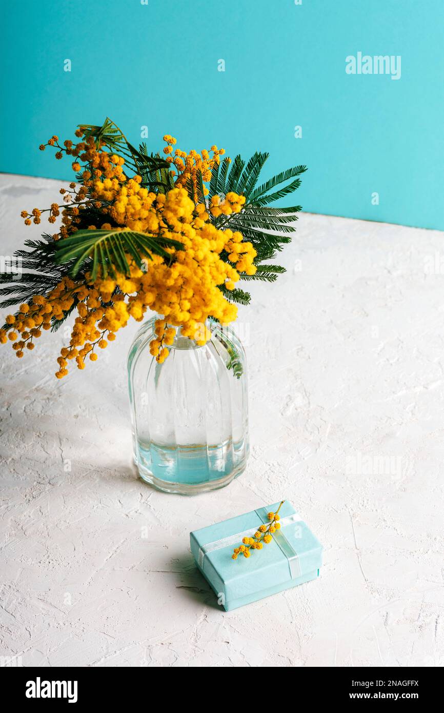 Gelbe Mimosablumen in Glasvase und Geschenk in einer Schachtel auf einem Tisch vor der blauen Wand. Stillleben, Frühjahrsferien-Konzept. Nahaufnahme. Stockfoto