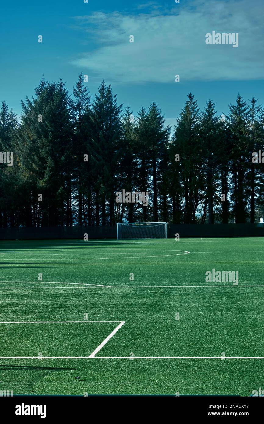 Ein Fußballfeld mit einer Reihe von Bäumen dahinter. Stockfoto