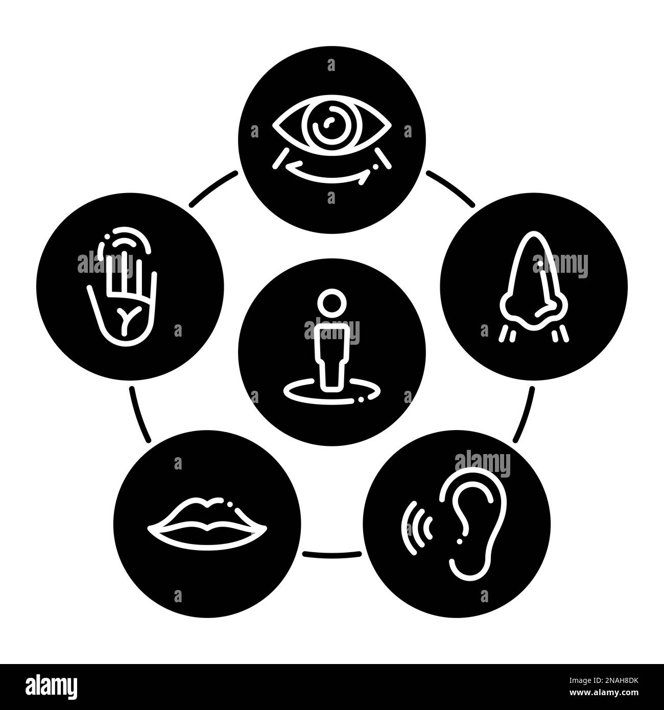 Ein Satz weißer Symbole, isoliert vor schwarzem Hintergrund, auf einem Thema Sinnesorgane Stock Vektor
