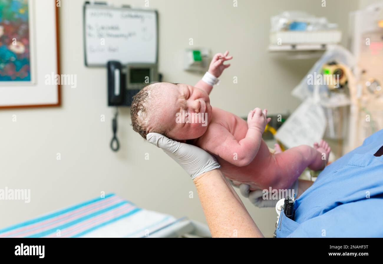 Das Neugeborene wurde gerade von der Krankenschwester gehalten Stockfoto