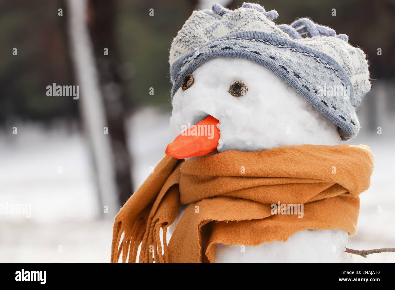 Lustiger Schneemann mit Schal und Hut im Freien Stockfoto