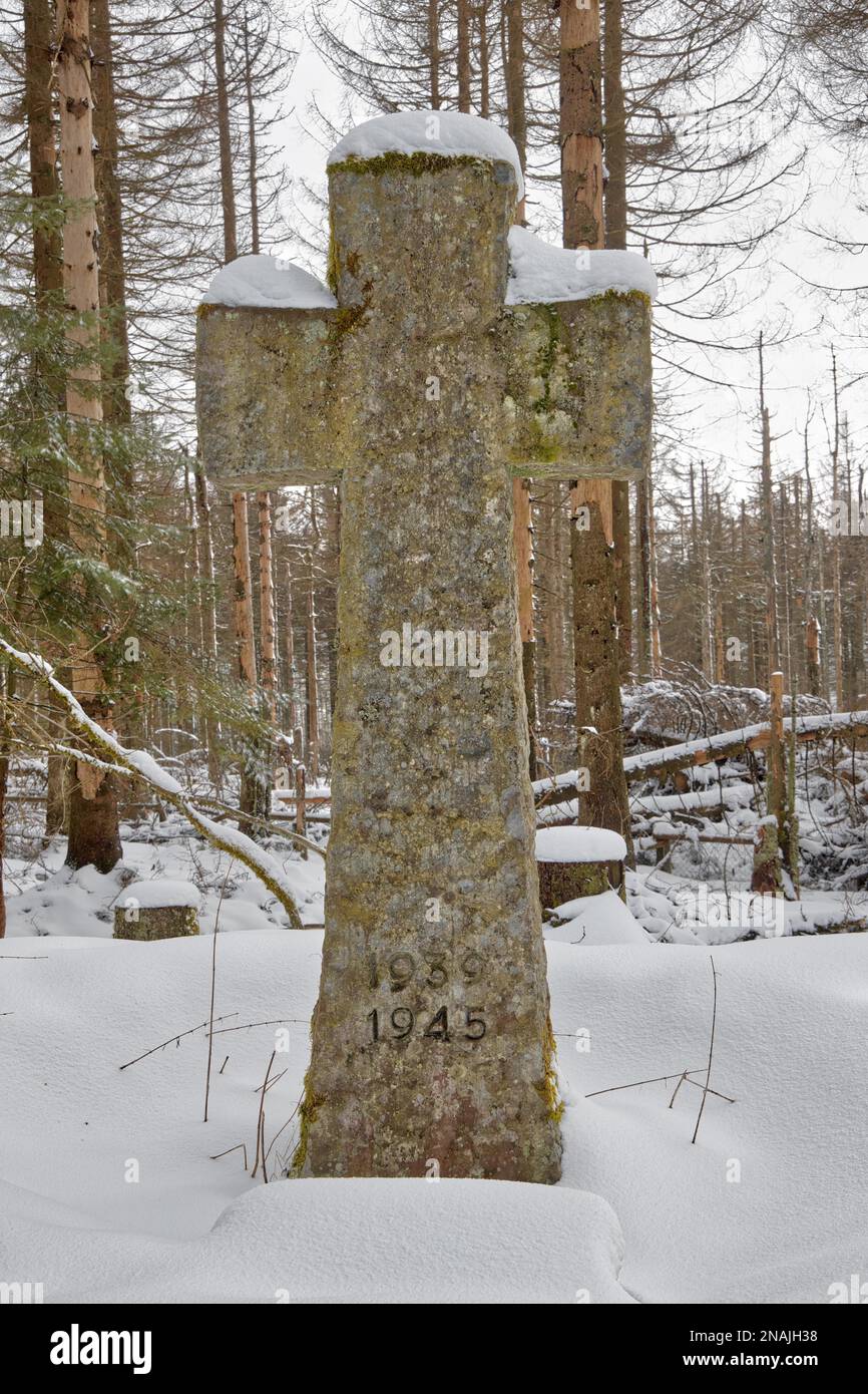 Friedhof von Honour Oderbrücken Harz National Park Stockfoto