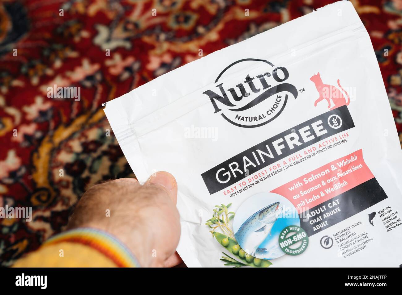 Paris, Frankreich - 16. Dez. 2022: POV männliche Hand hält Nutro Grain Free Senioren Fischkatze trockenes Haustierfutter auf dem Seidenteppich im Wohnzimmer - erhöhte Aussicht Stockfoto
