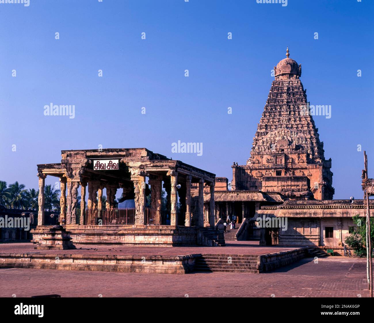 Brihadeeswarar-Tempel aus dem 10. Jahrhundert oder großer Tempel in Thanjavur, Tamil Nadu, Indien Stockfoto