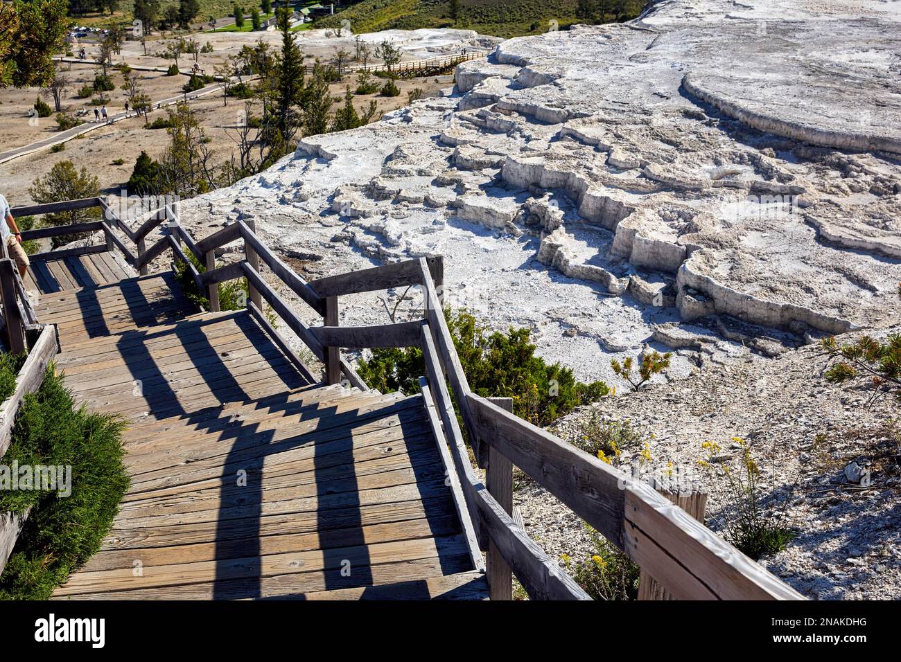 Minerva Terrace in den Mammoth Hot Springs. Yellowstone-Nationalpark. Wyoming. USA Stockfoto