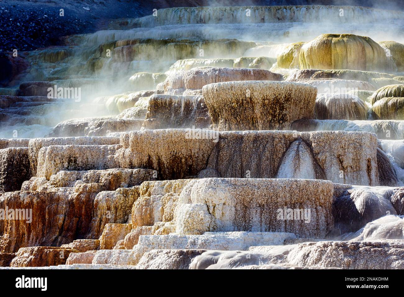 Minerva Terrace in den Mammoth Hot Springs. Yellowstone-Nationalpark. Wyoming. USA Stockfoto