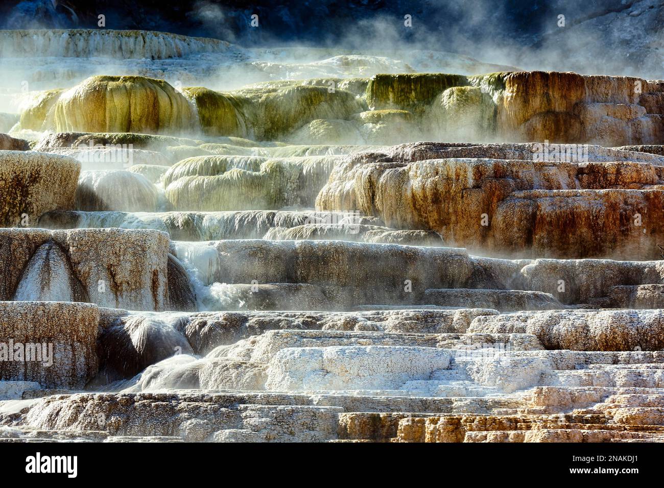 Minerva Terrace in den Mammoth Hot Springs. Yellowstone-Nationalpark. Wyoming. USA Stockfoto