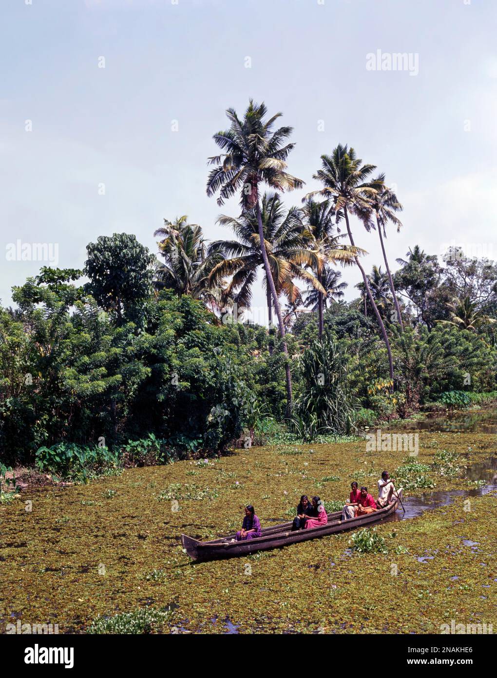 Touristen genießen die Nebengewässer von Allapey, Allapuzha, Kerala, Indien Stockfoto