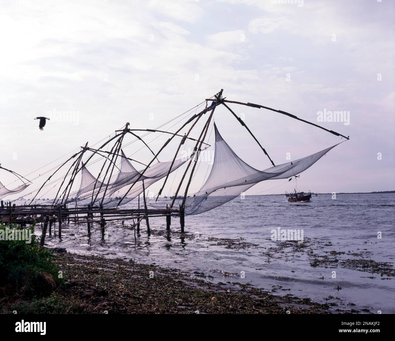 Die chinesischen Fischernetze oder Cheena vala in Fort Kochi oder Cochin, Kerala, Indien, Asien Stockfoto