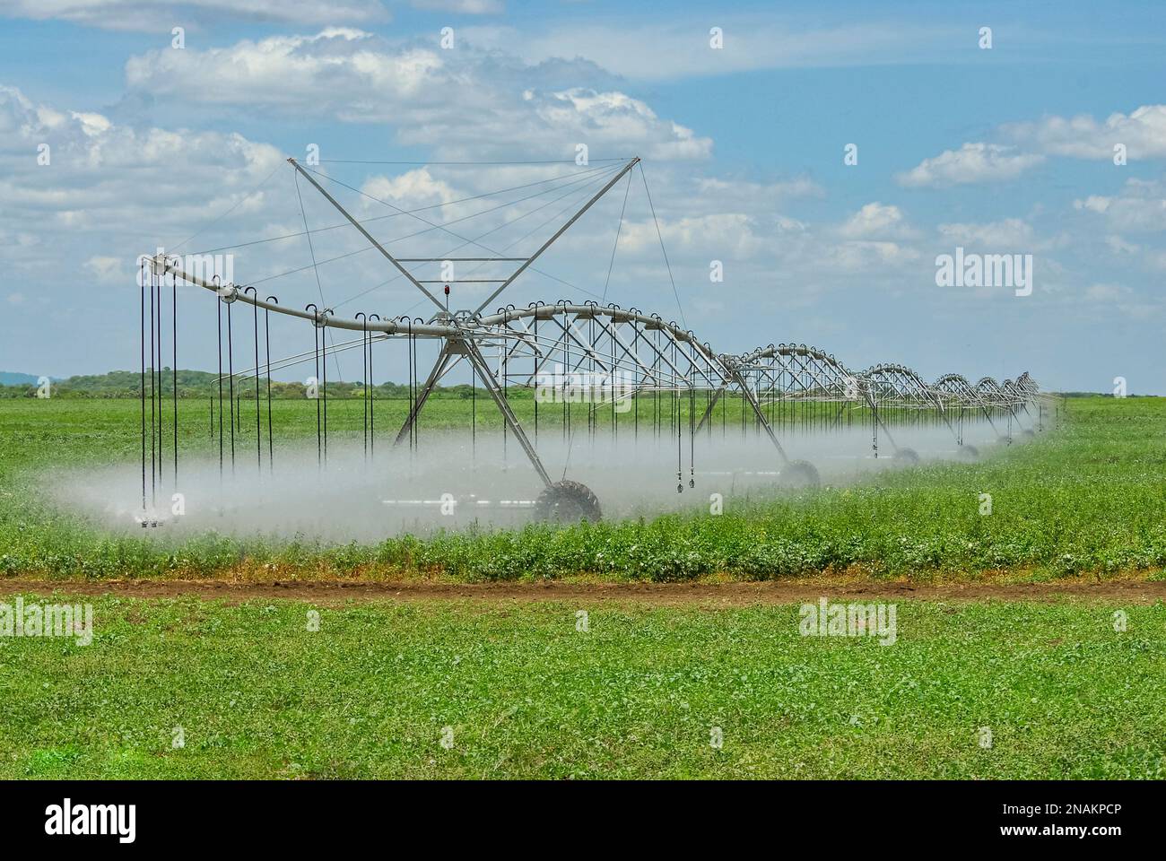 Zentrales Drehbewässerungssystem in Betrieb am 13. November 2011 in Sousa, Paraiba, Brasilien. Brasilianische Landwirtschaft. Stockfoto