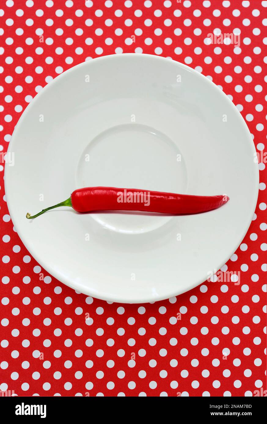 Rote Chili-Pfeffer auf einem weißen Teller auf einem Hintergrund mit Polka-Punkten Stockfoto