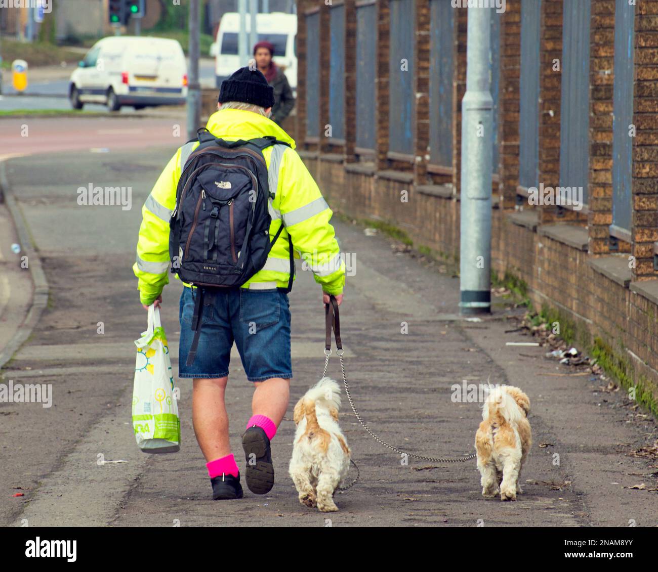 Mann in Shorts mit Einkaufstasche, der zwei kleine Hunde am Bürgersteig führt Stockfoto