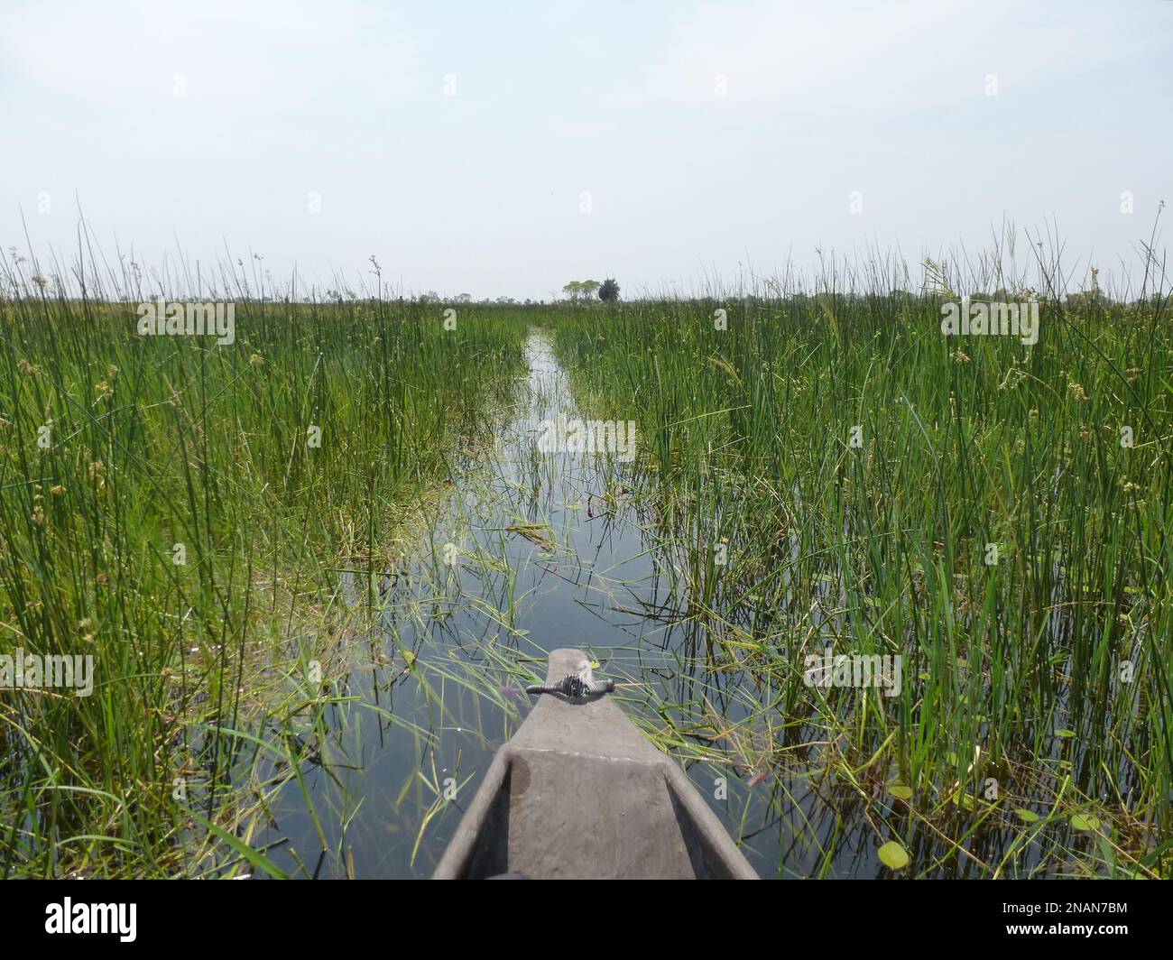 Kanutour im Okavango Delta in Botswana Stockfoto