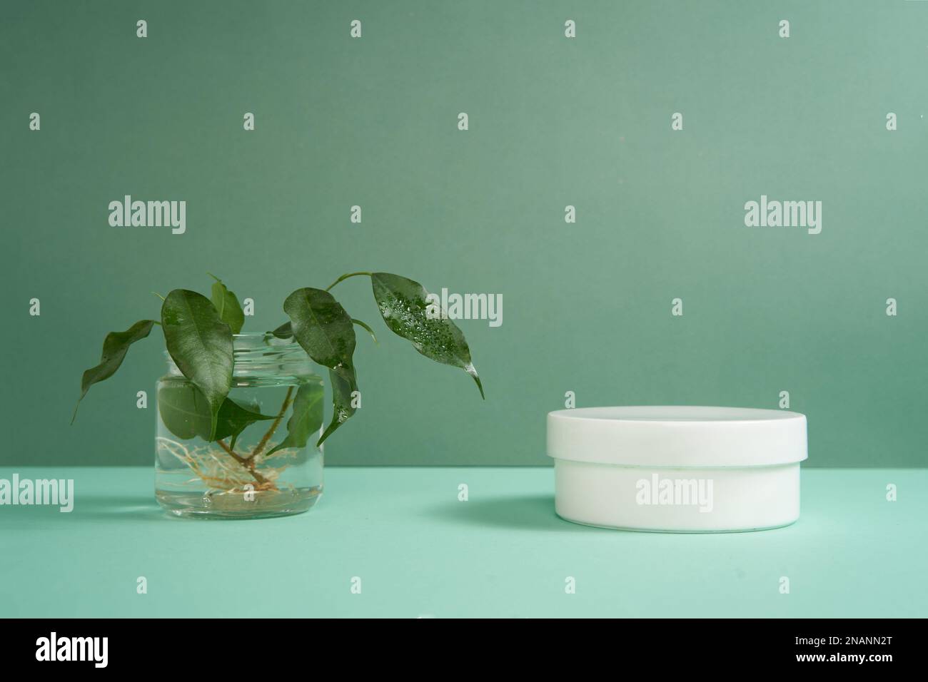 Eine weiße Baumwolltasche für Ihr Produkt neben einem grünen Ast auf hellgrünem Hintergrund. Das Konzept von Ökologie, Energie, Layout für Ihre Werbung. Stockfoto