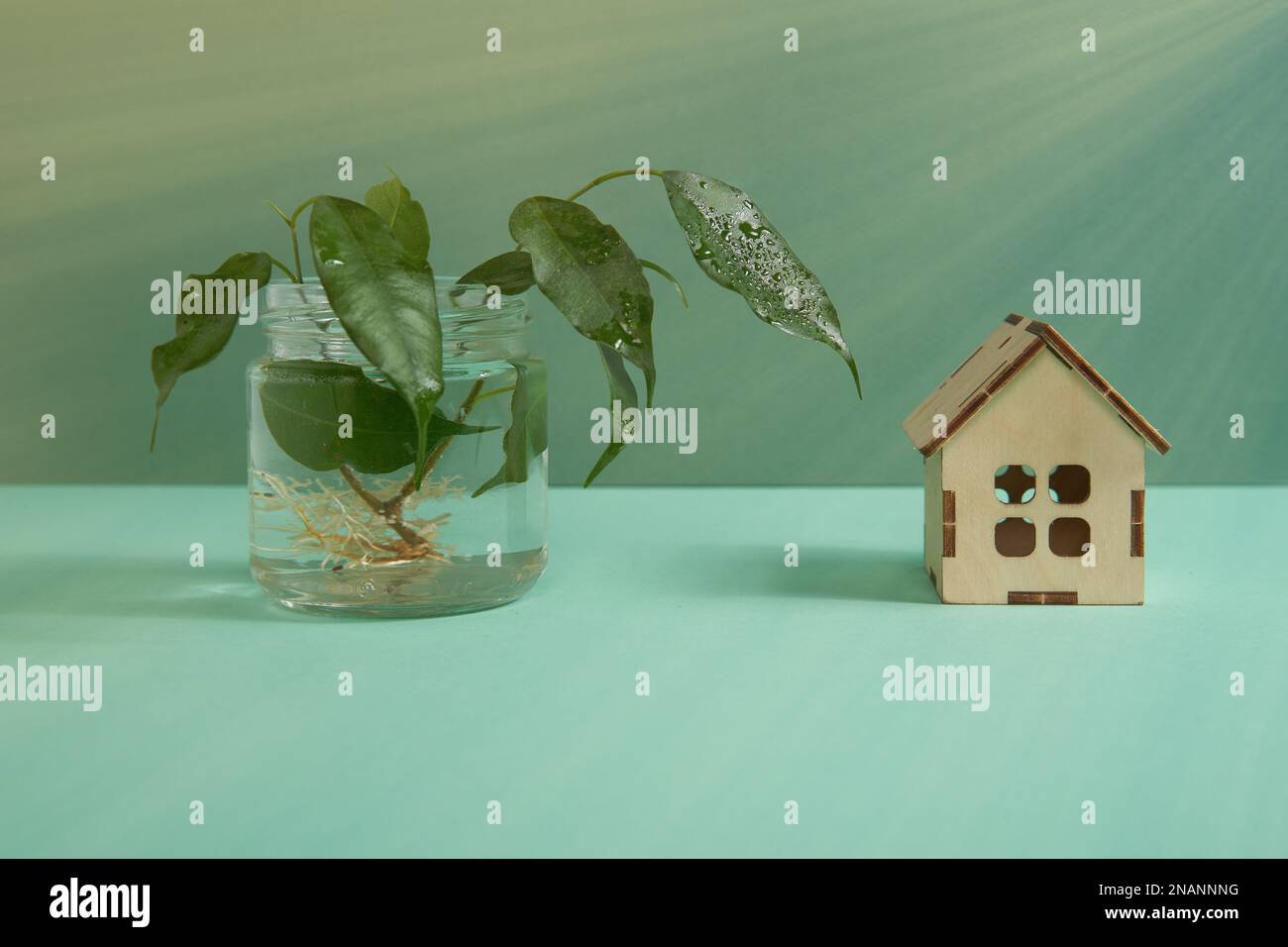 Das Konzept eines umweltfreundlichen Hauses mit einem Holzmodell des Hauses und einem Ast auf grünem Hintergrund mit Platz zum Kopieren zwischen Grünflächen. Hypothek. Stockfoto
