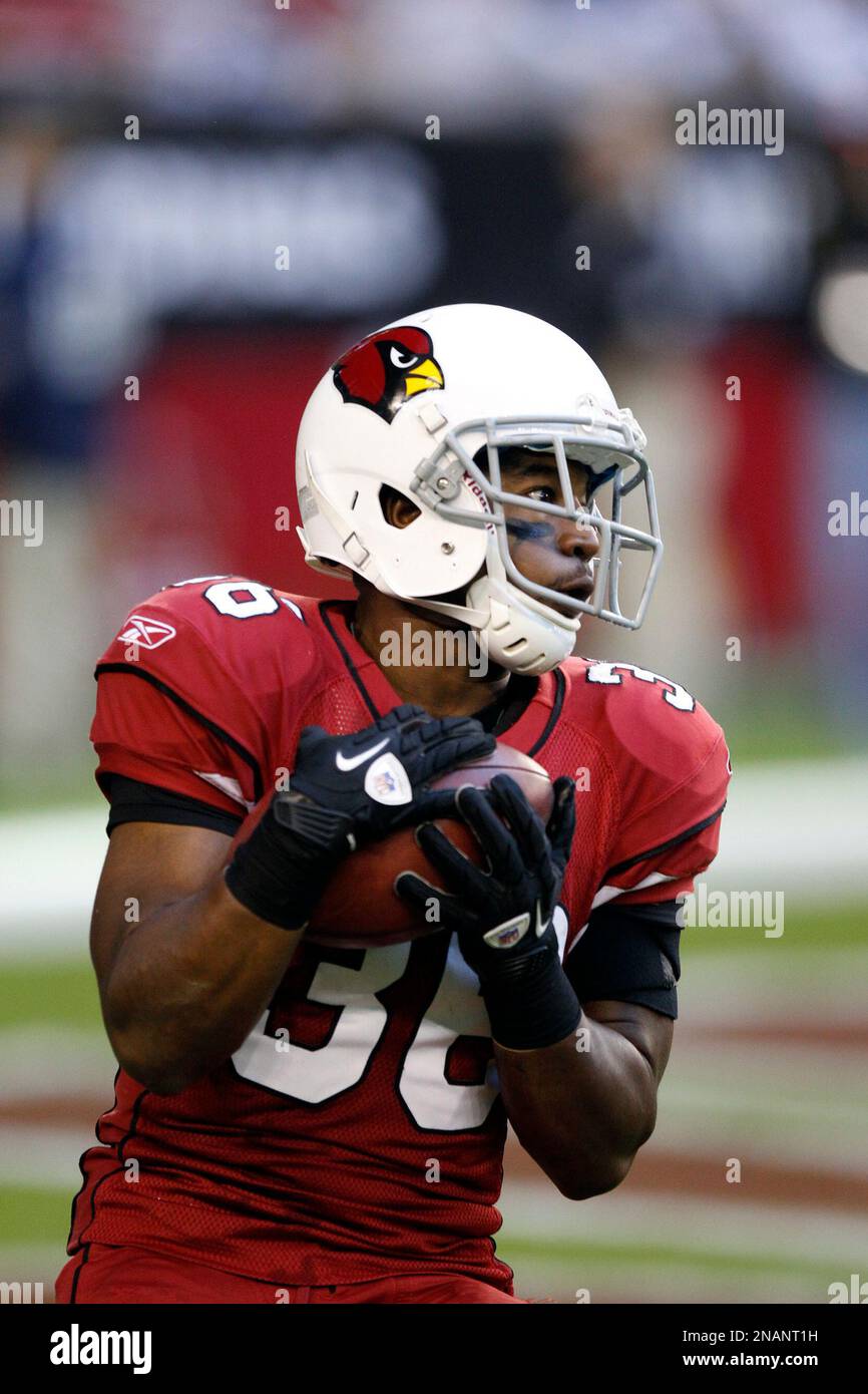 Arizona Cardinals running back LaRod Stephens-Howling holds on tight to the ball during the game against the Dallas Cowboys in an NFL football game Sunday, Dec. 4, 2011, in Glendale, Ariz. (AP Photo/Paul Connors) Stockfoto