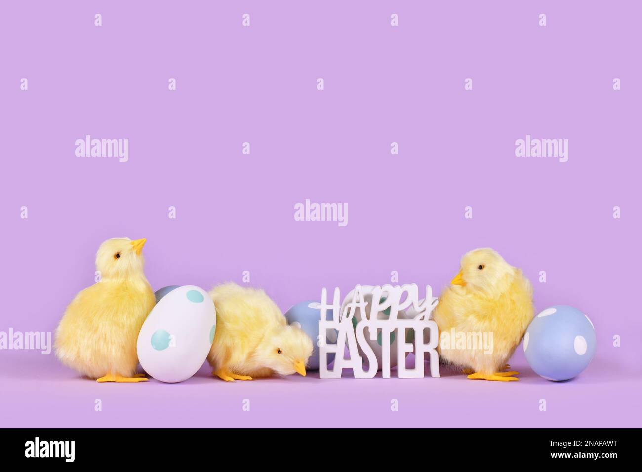 Pastellfarbene ostereier, Huhn und Text „Happy Easter“ auf violettem Hintergrund mit Kopierbereich Stockfoto