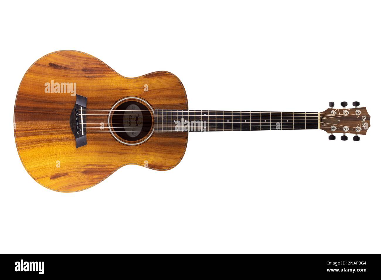 Acoustic Guitar Cut Out Gitar auf weißem Hintergrund Exotisches Holz kurze Taylor GS Mini Acoustic Gitar Stockfoto