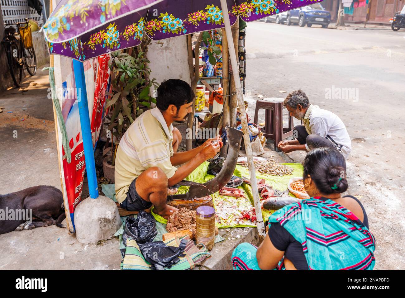Einheimischer Straßenhalter entfernt Waagen, die Fisch für den Verkauf an einem typischen Straßenstand in Fariapukur, Shyam Bazar, Kalkutta, Westbengalen, Indien vorbereiten Stockfoto
