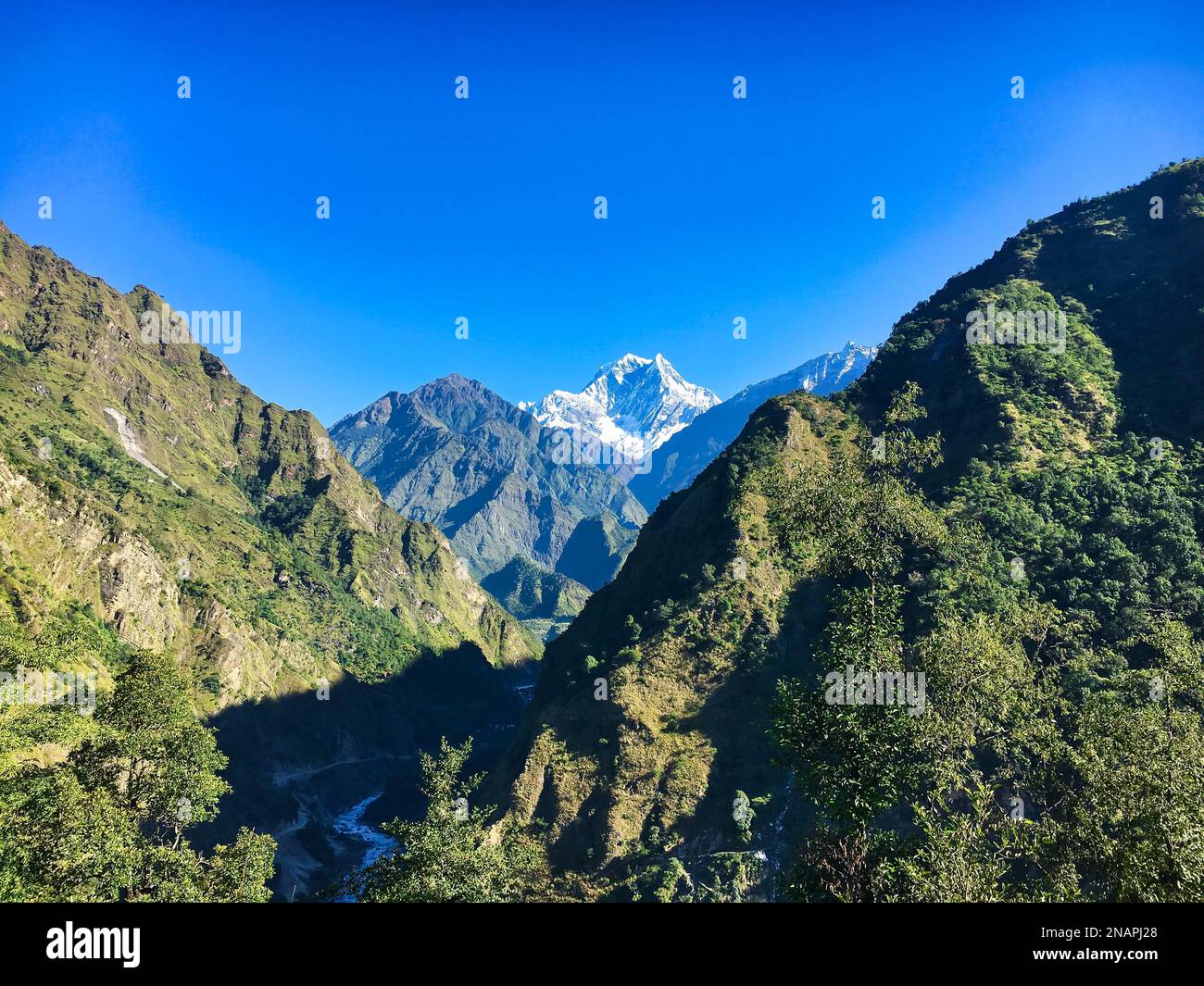 Ein Blick auf den Nilgiri Himal, einen 7061 Meter hohen Berg im Annapurna Massiv, der vom Pfad in Richtung Chomrong bei der Annapurna Circuit Wanderung aus gesehen wird Stockfoto