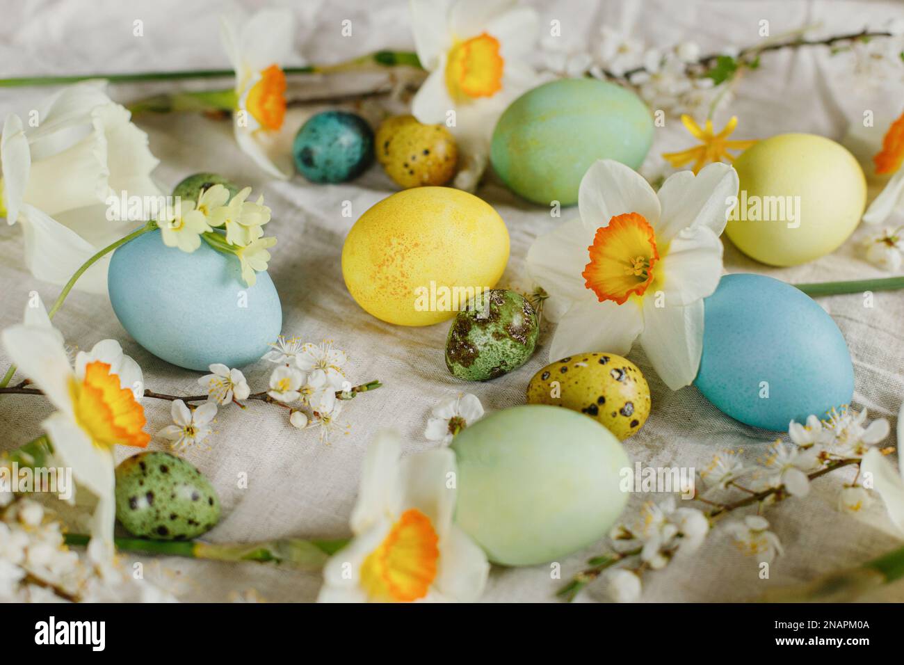 Frohe Ostern! Stilvolle ostereier und blühende Frühlingsblumen auf einem rustikalen Tisch. Rustikales osterleben. Natürlich bemalte Eier und Narzissen blühen auf Stockfoto