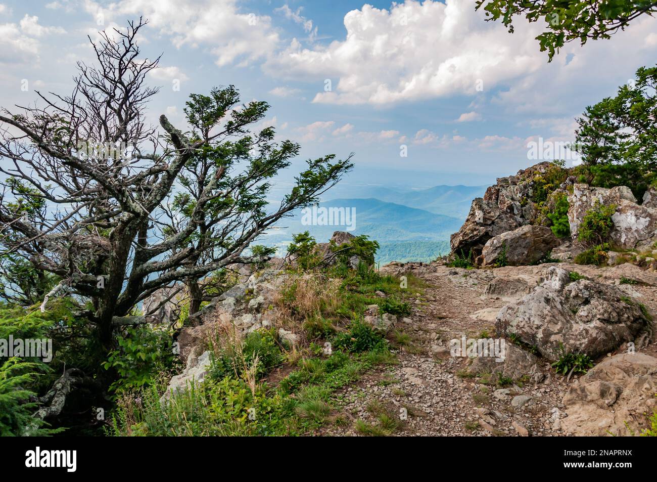 Die letzten paar Schritte zum Gipfel, Appalachian Mountains, Virginia, USA, Virginia Stockfoto