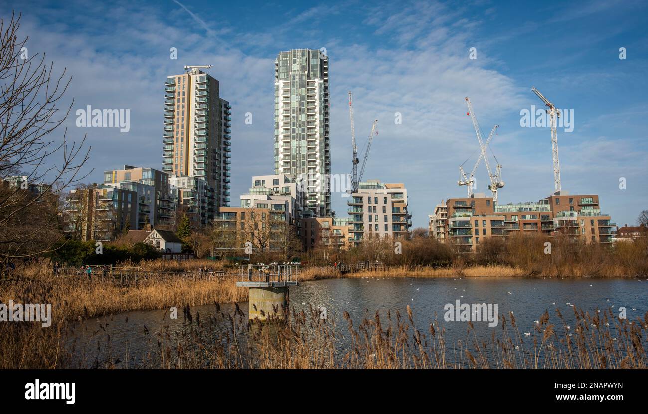 Neue Wohnungsbauten am Rand von Woodbury Wetlands am East Reservoir, Harringay, London, Großbritannien Stockfoto