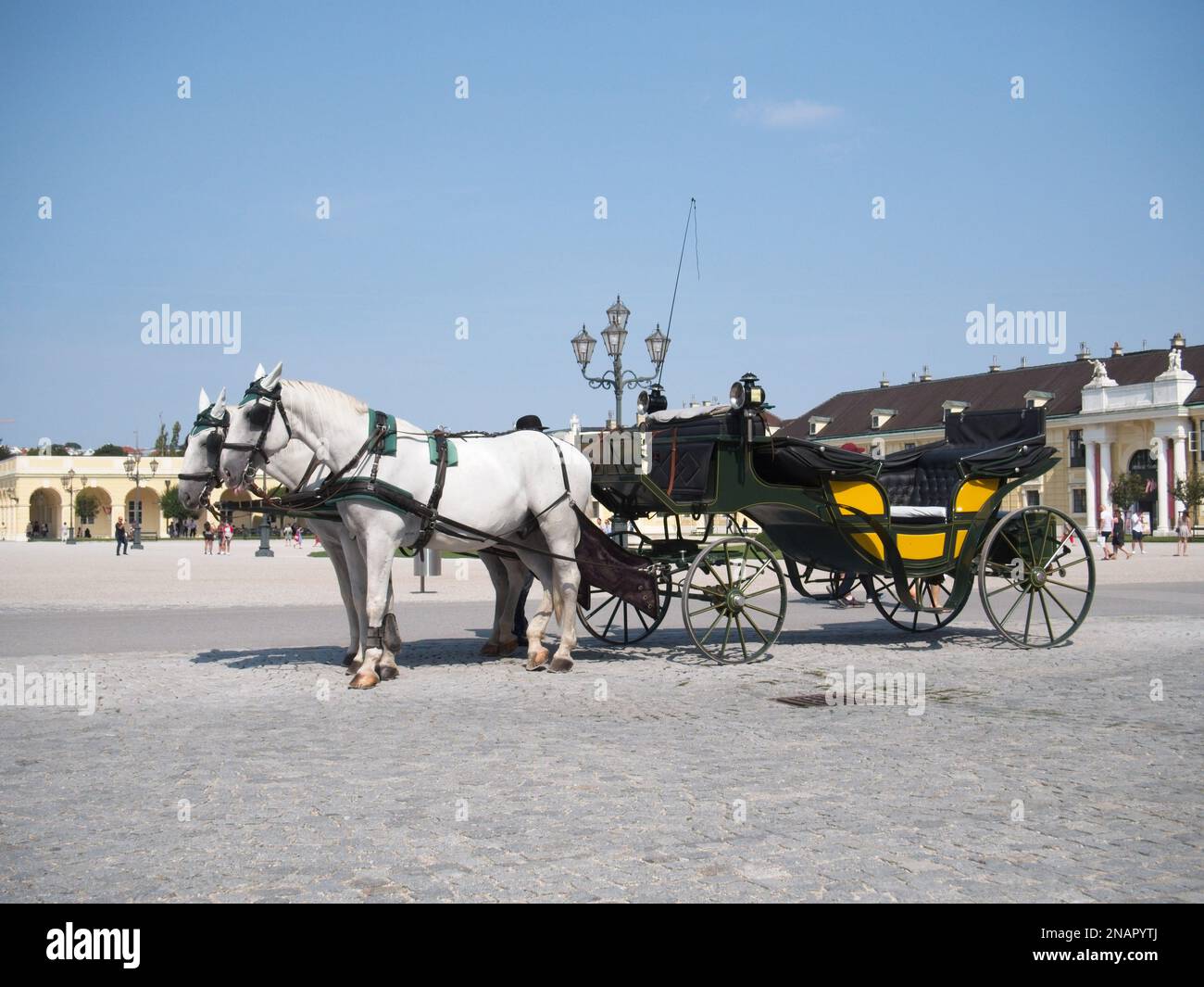 Schloss Schönbrunn in Wien Osterreich, Pferde und Kutsche Stockfoto