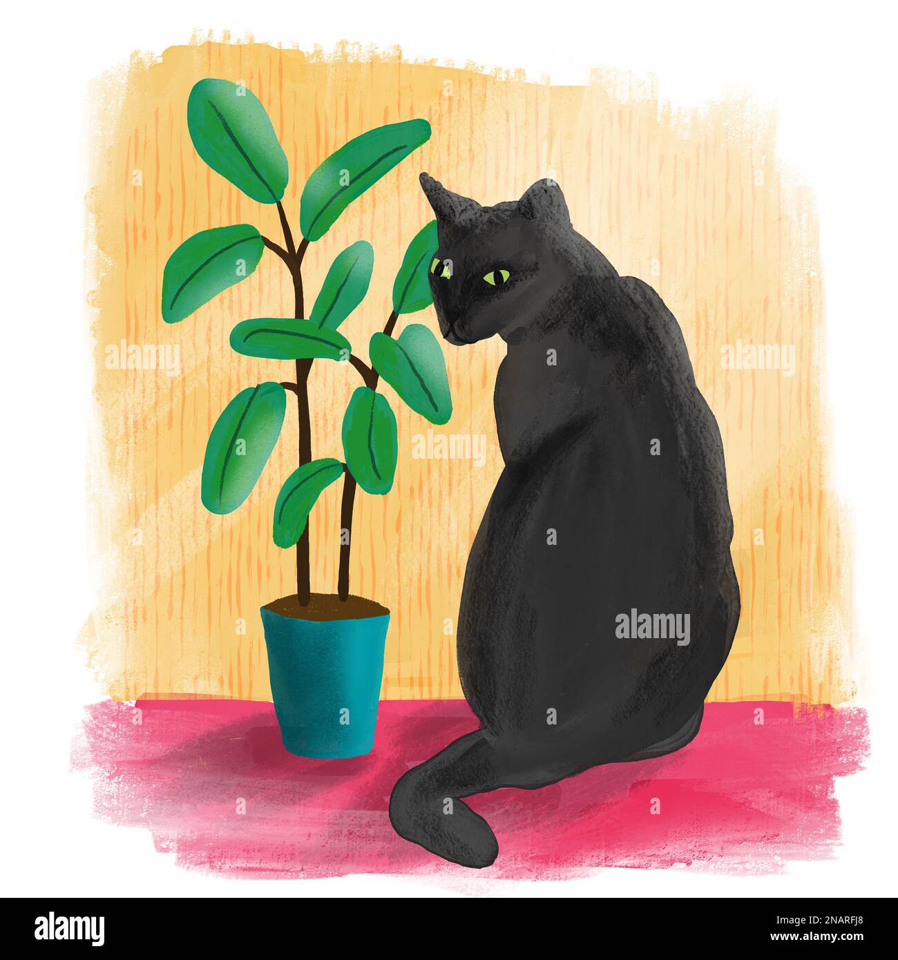 Handgezeichnete Andeutung mit schwarzer Katze und Blüten von Hauspflanze Ficus auf farbenfrohem Hintergrund. Heimtier Katze niedliches Design Posterkarte, trendige Kunst im lockeren gemalten Stil, Geschenk für Katzenliebhaber katzenmotiv Stockfoto