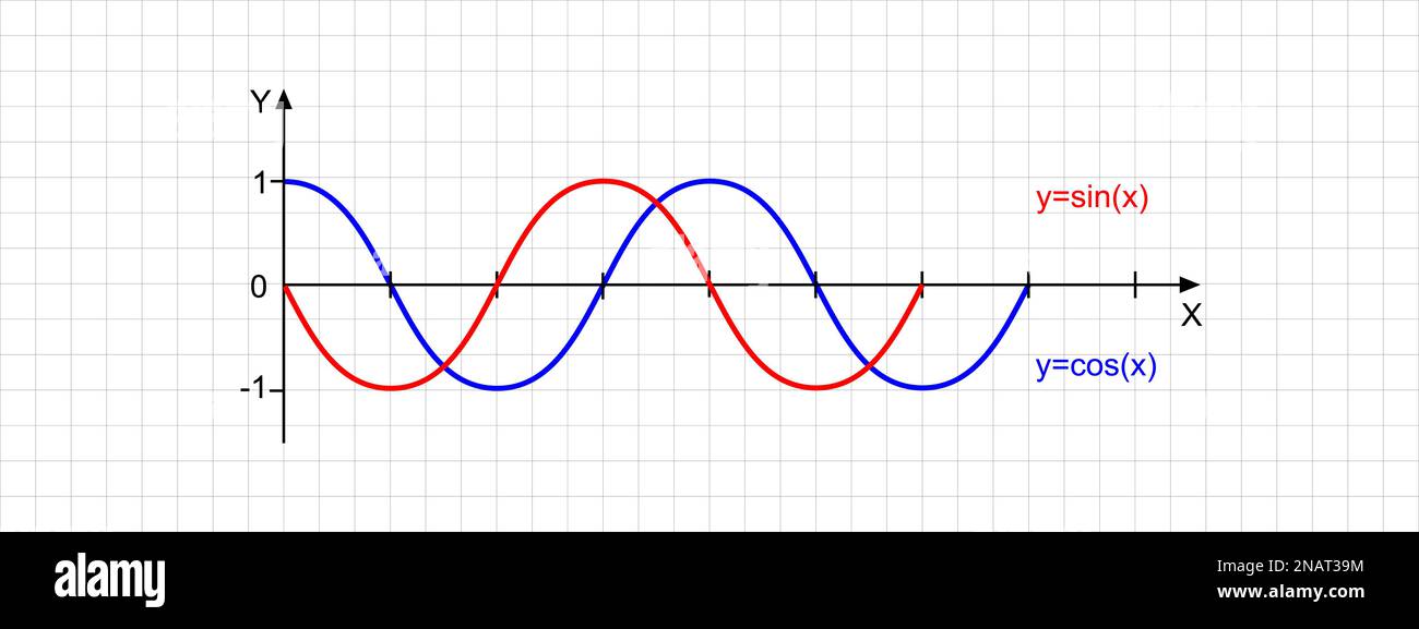 Kosinus- und Sinuswellenlinien auf bidimensionaler Ebene. Mathematische Funktionsgrafik. Hintergrund des karierten Arbeitsblatts. Kartesisches Koordinatensystem mit zwei Stock Vektor