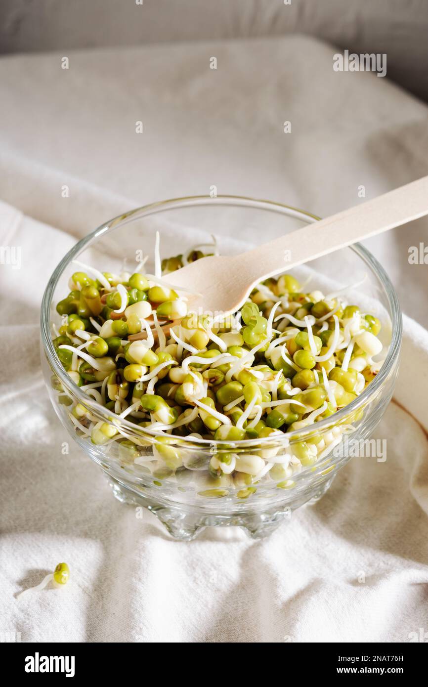Frische Mungbohnensprossen auf einem Leinentischtuch. Stockfoto