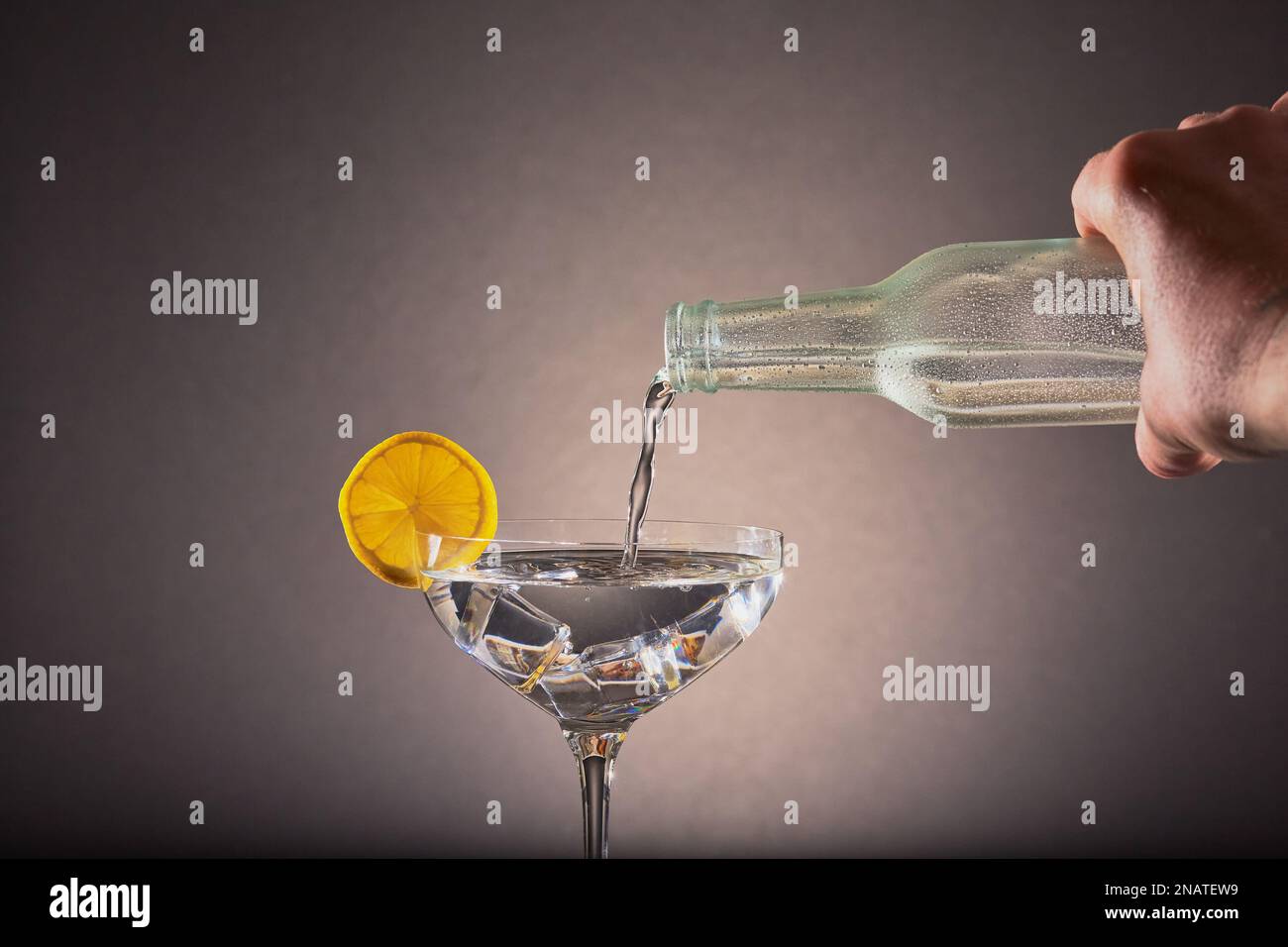 Gin Tonic mit Eis und mit Zitrone garniert. Stockfoto