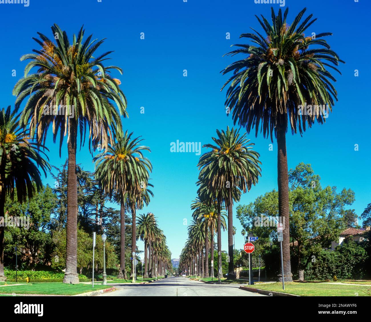 HOLLYWOOD-SCHILD (©THOMAS FISK GOFF 1978) MOUNT LEE HOLLYWOOD HILLS BEACHWOOD CANYON LOS ANGELES KALIFORNIEN USA Stockfoto