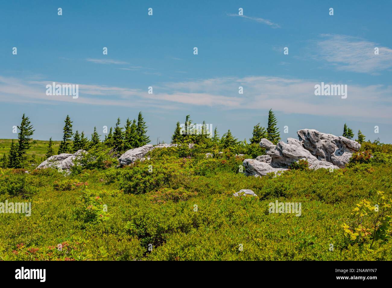 Bear Rocks Preserve an einem Sommertag in West Virginia, USA, West Virginia Stockfoto