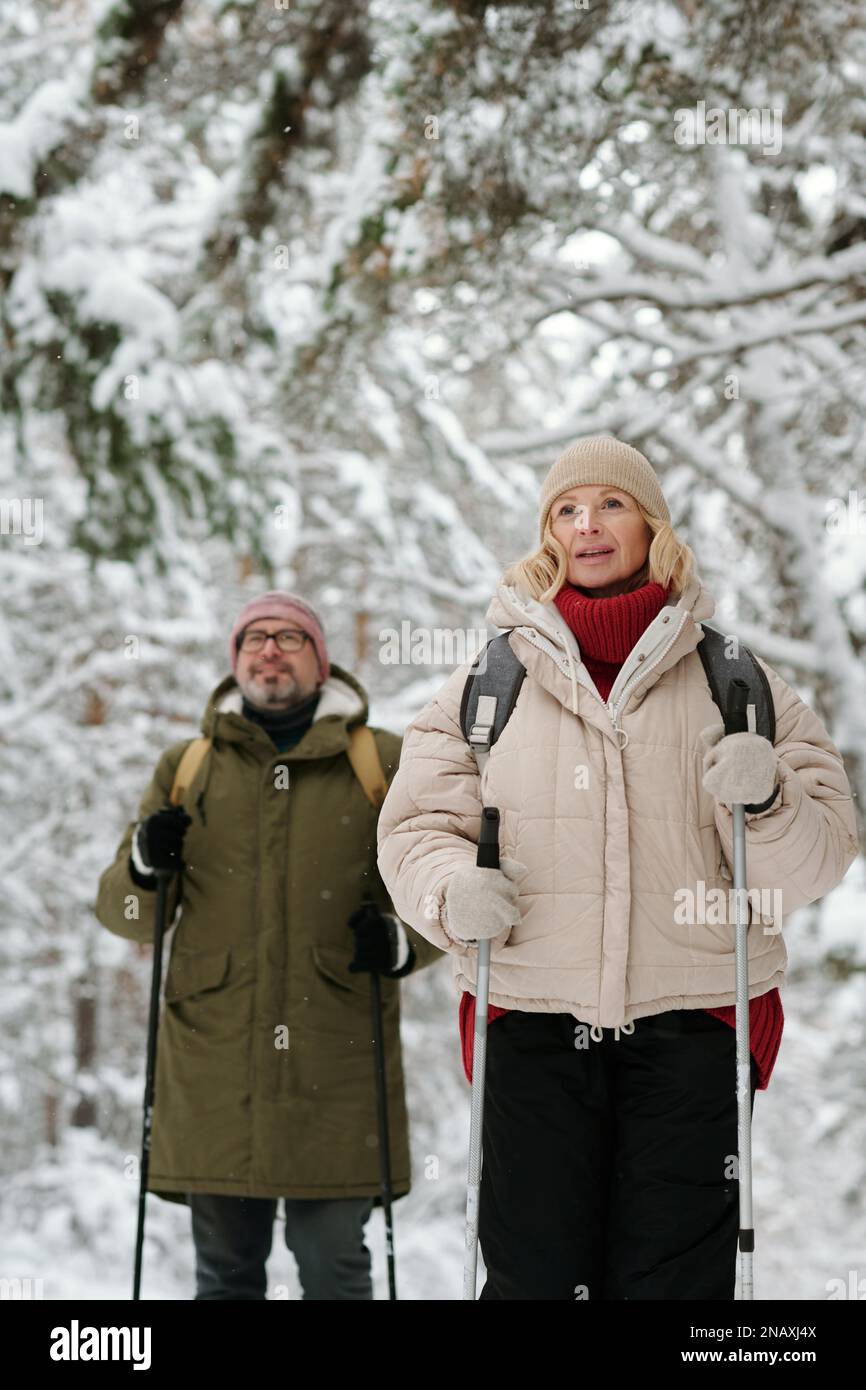 Reife Frau und ihr Mann mit Rucksäcken und Wanderstöcken, die mit schneebedeckten Kiefernwäldern durch den Wald spazieren Stockfoto