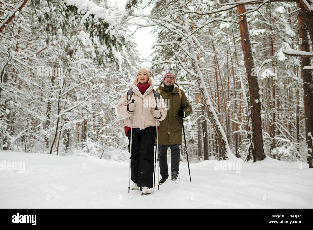 Aktives Seniorenpaar mit Rucksäcken, das am Wochenende im Pinetree Forest wandert und Zeit miteinander verbringt Stockfoto