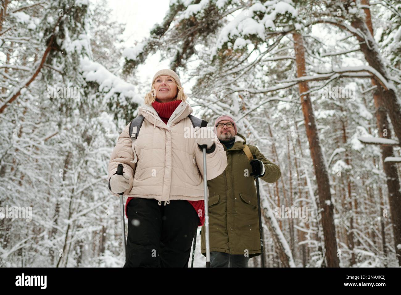 Reife blonde Frau in Winterbekleidung, die vor ihrem Mann spaziert, während beide am Winterwochenende oder in der Freizeit im Wald wandern Stockfoto