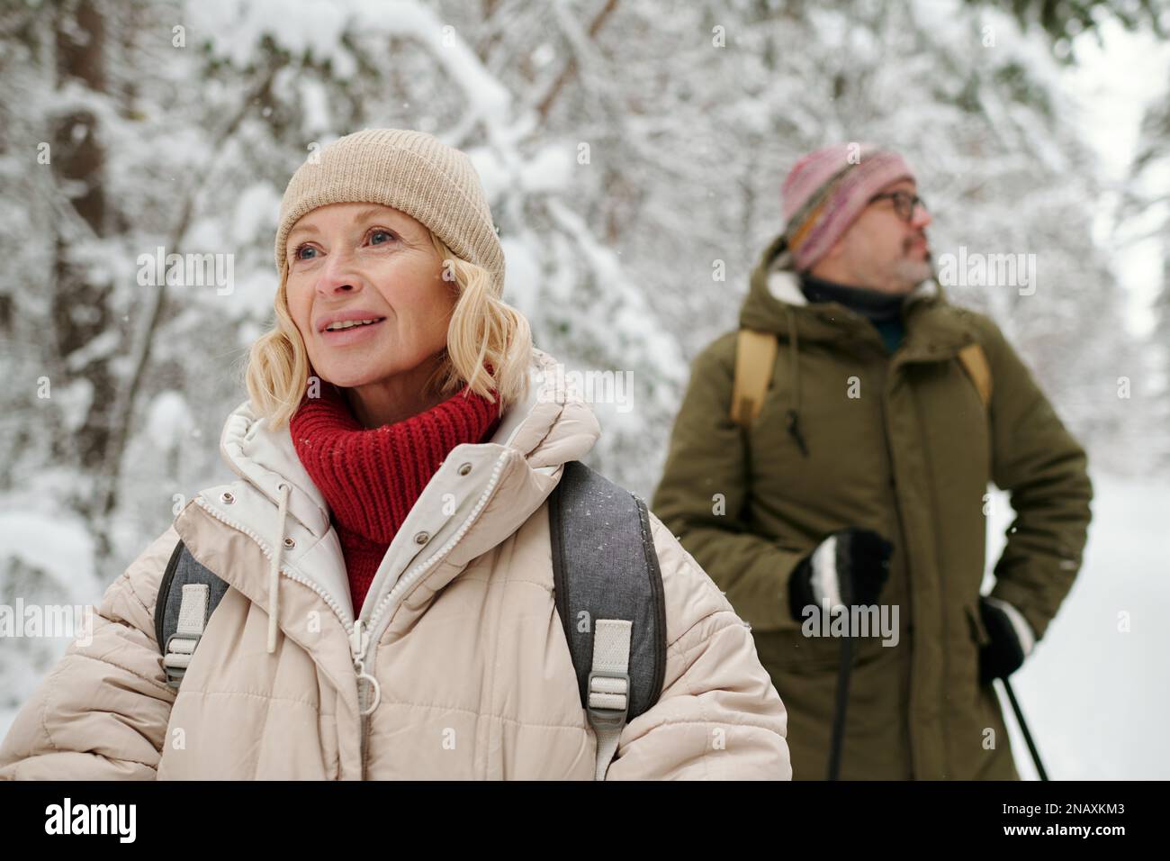 Eine ältere blonde Frau in Winterbekleidung, die beim Wochenendspaziergang mit ihrem Mann in einem schneebedeckten Pinetree-Wald nach vorne blickt Stockfoto