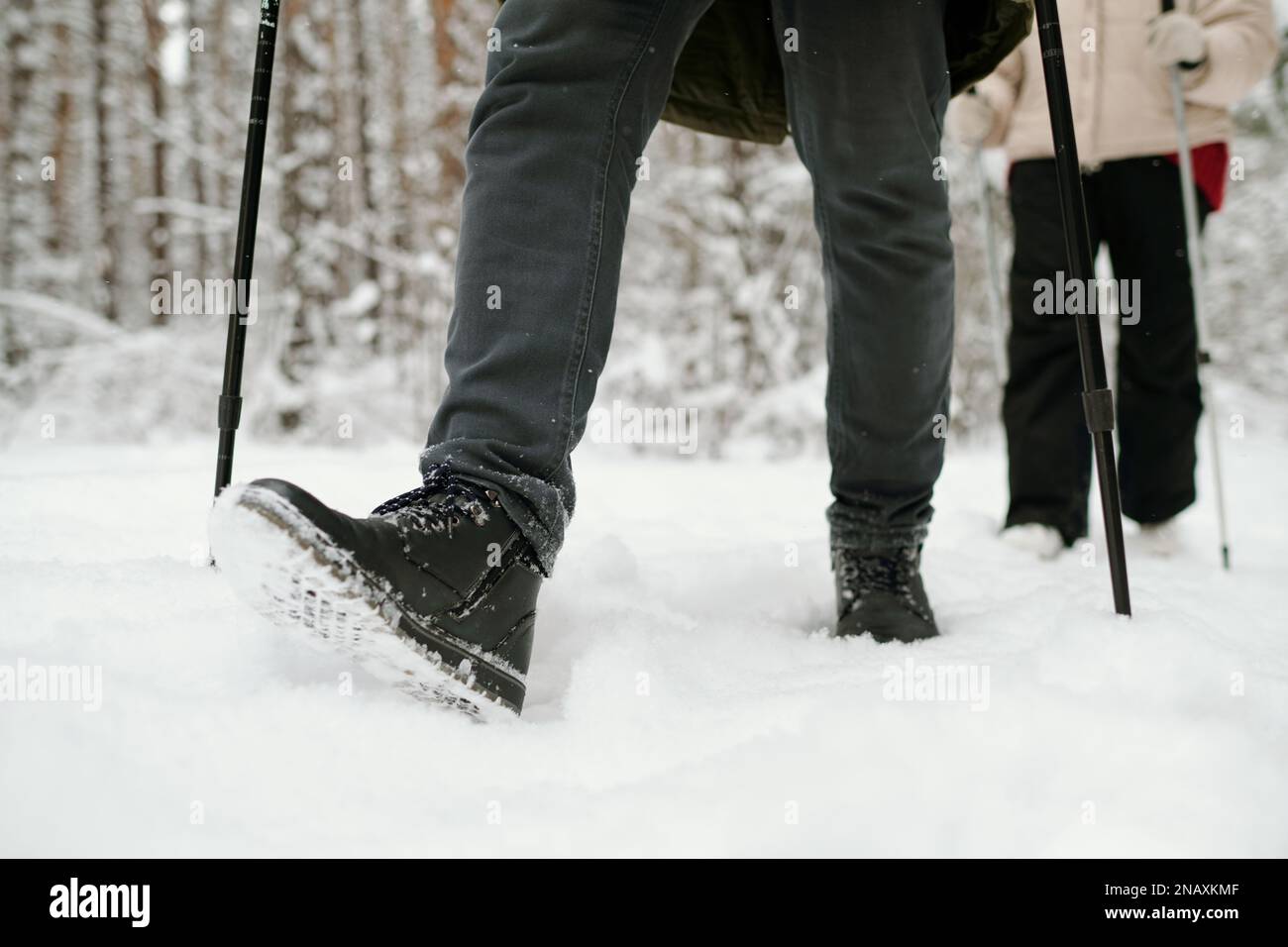 Unterer Teil eines aktiven Mannes mit Wanderstöcken, der am Wintertag auf der Waldstraße spaziert, während ihm seine Frau in Winterkleidung folgt Stockfoto