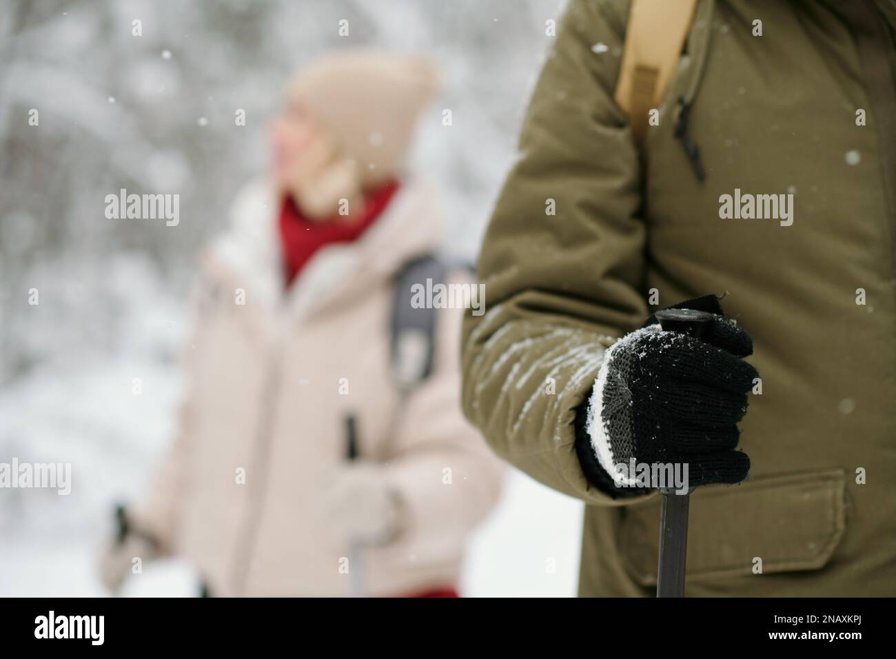 Nahaufnahme der Hand eines aktiven Mannes in warmer Winterjacke und gestrickten Wollhandschuhen mit Trekkingstock, während er mit seiner Frau im Wald spaziert Stockfoto