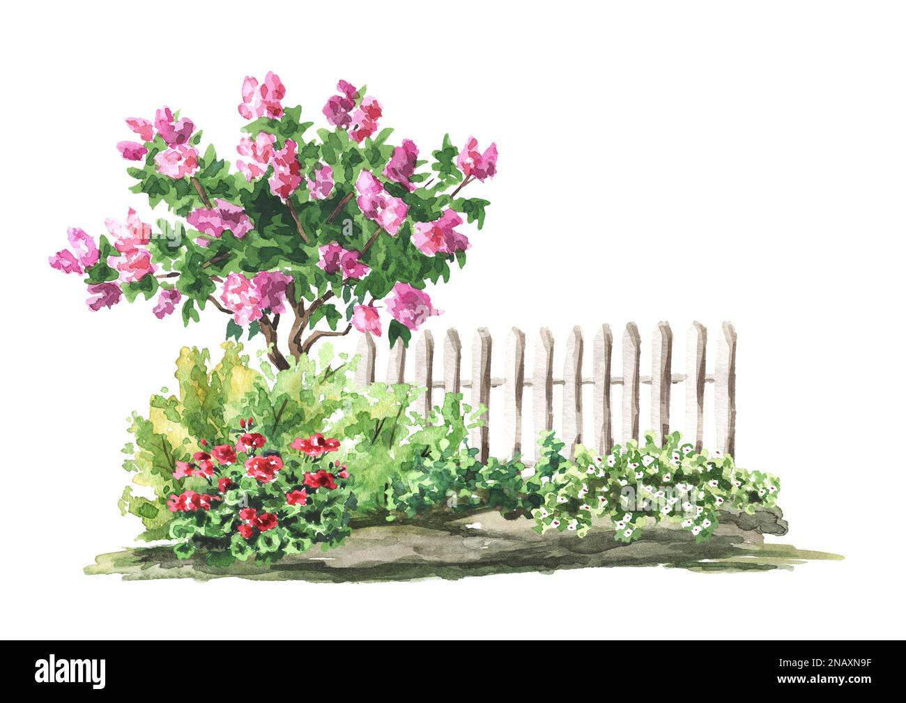 Blumenbeet im Garten, Landschaftsdesign, handgemalte Aquarellzeichnung isoliert auf weißem Hintergrund Stockfoto
