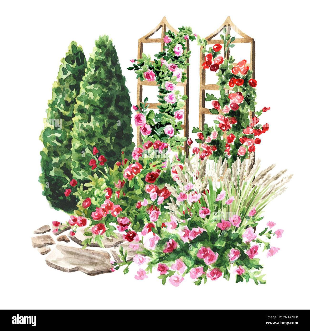 Blumenbeet im Garten, Rosarium, Landschaftsdesign. Handgezeichnete Aquarelldarstellung isoliert auf weißem Hintergrund Stockfoto