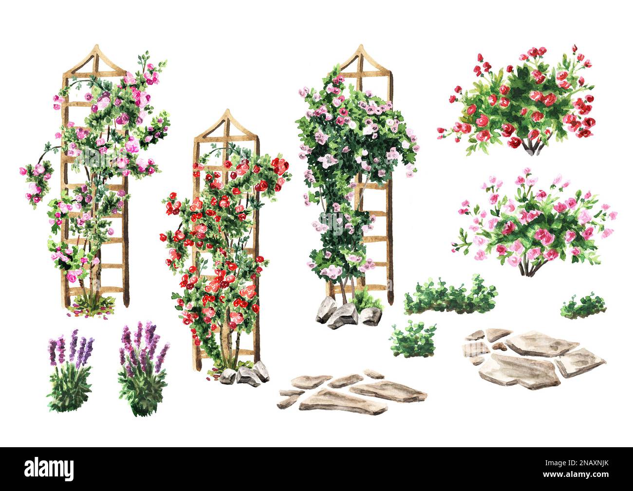 Gartenblumenbeet, Rosarium. Landschaftsdesign-Elemente festgelegt. Handgezeichnete Aquarelldarstellung isoliert auf weißem Hintergrund Stockfoto