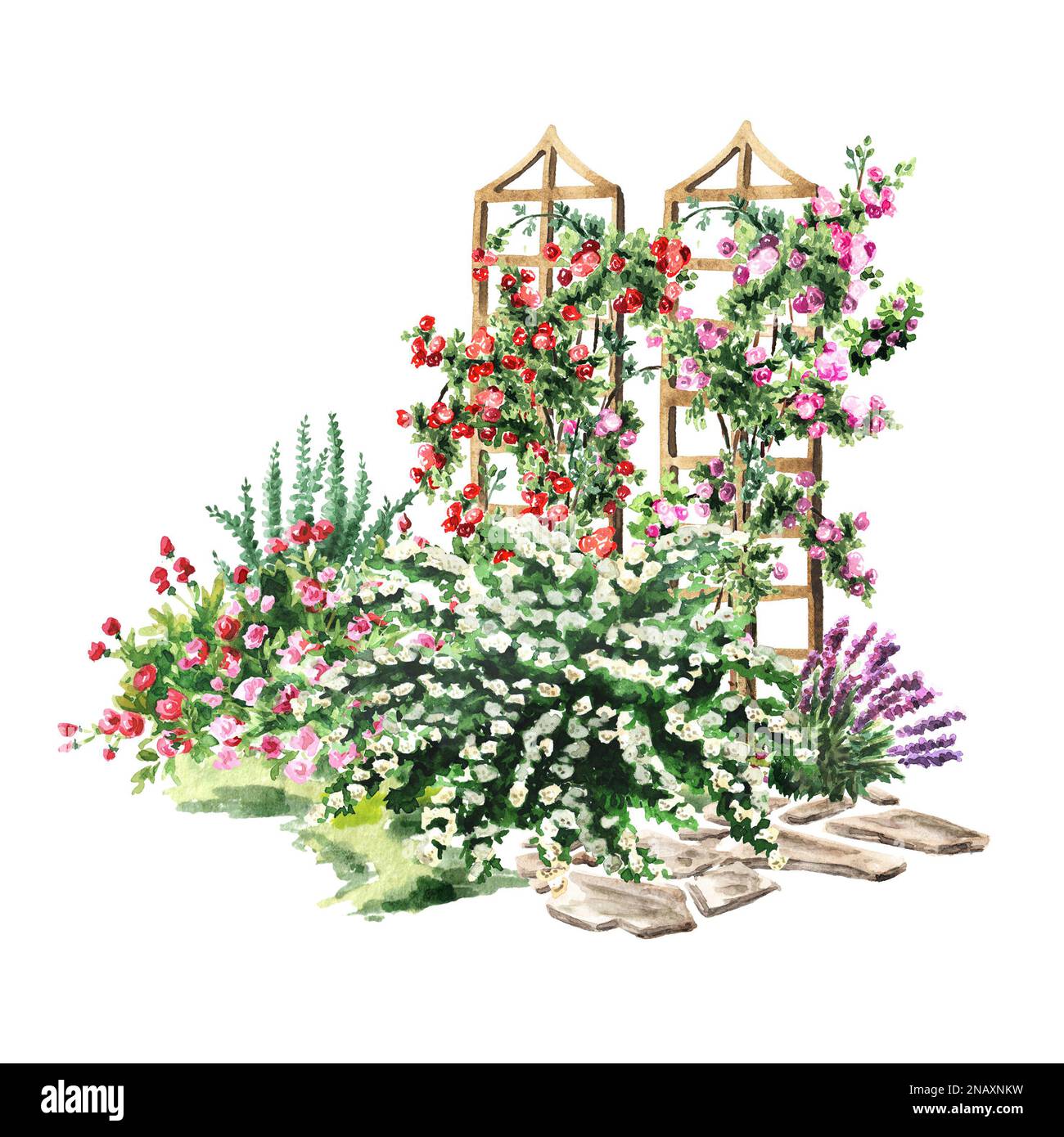 Gartenblumenbeet, Rosarium. Landschaftsdesign. Handgezeichnete Aquarelldarstellung isoliert auf weißem Hintergrund Stockfoto
