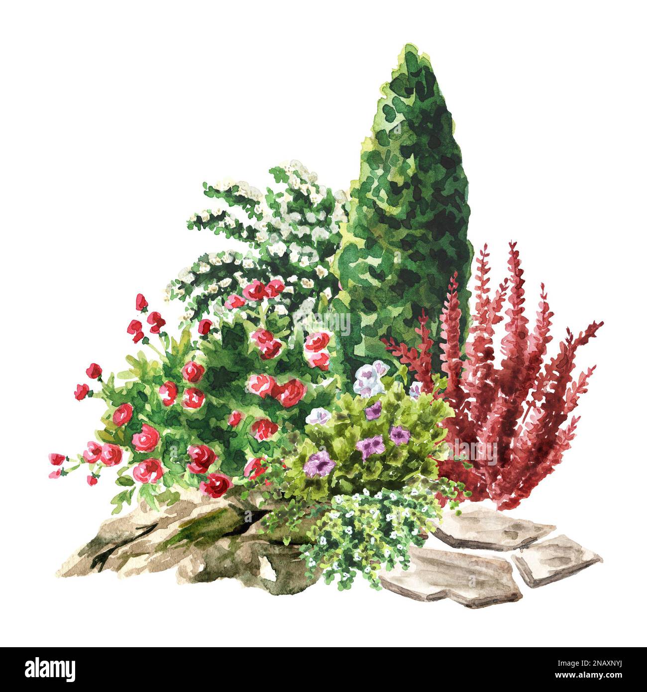 Blumenbeet im Garten. Landschaftsgestaltung . Handgezeichnete Aquarelldarstellung isoliert auf weißem Hintergrund Stockfoto