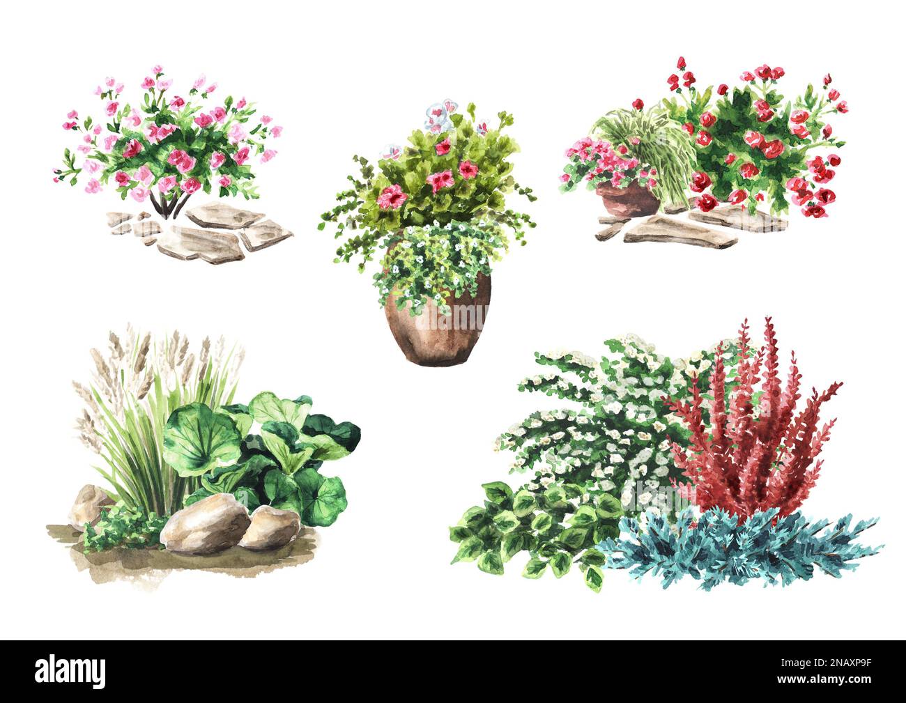 Blumenbeet im Garten. Landschaftsdesign-Set. Handgezeichnete Aquarelldarstellung isoliert auf weißem Hintergrund Stockfoto