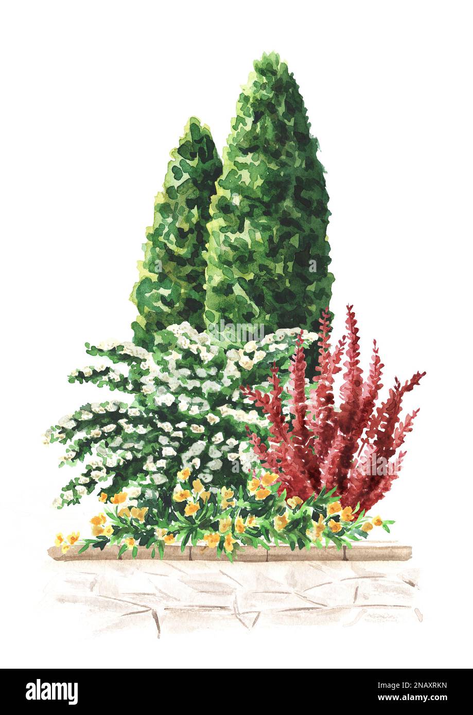 Blumenbeet im Garten. Landschaftsdesign. Handgezeichnete Aquarelldarstellung isoliert auf weißem Hintergrund Stockfoto