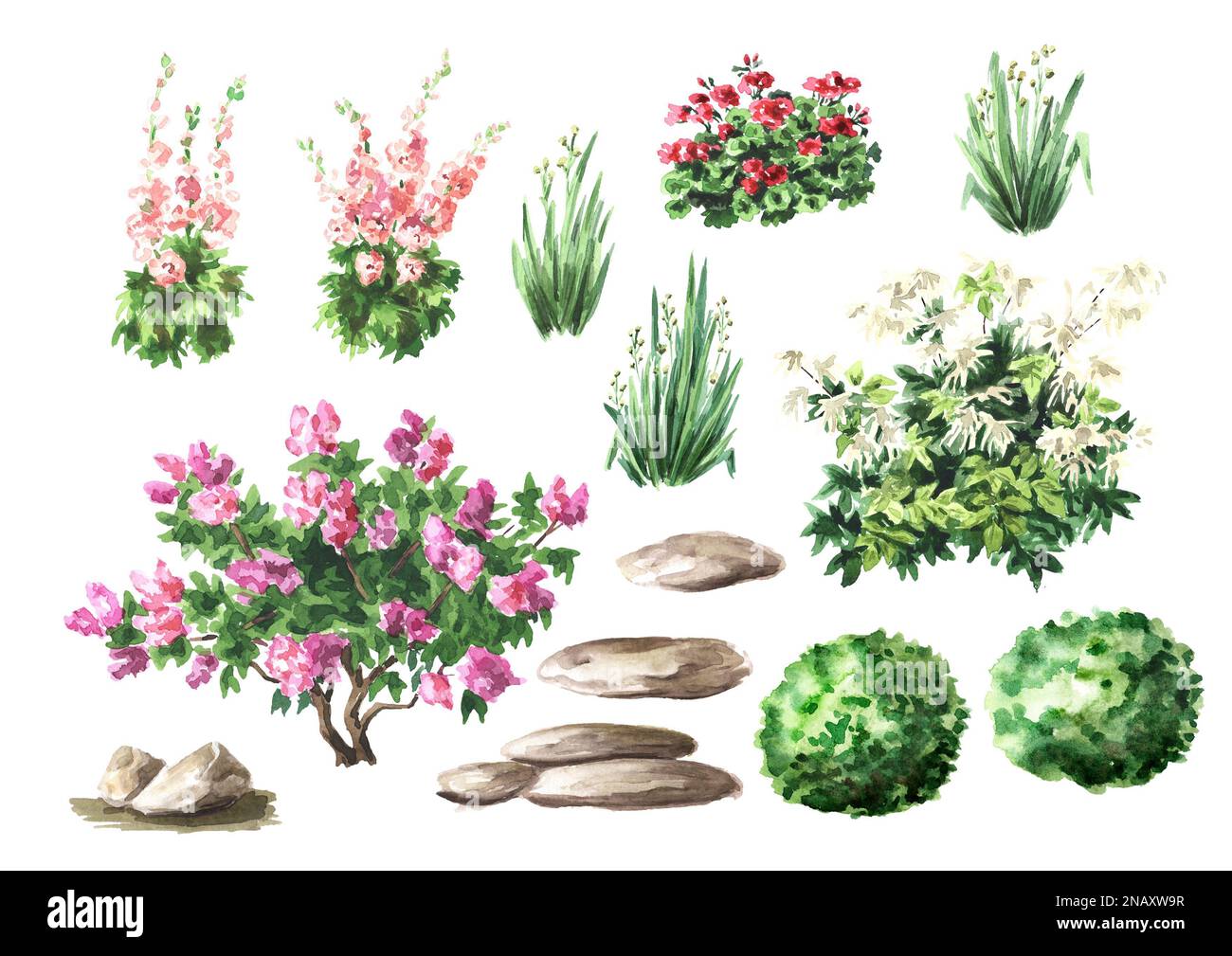 Landschaftsdesign-Elemente Set 2. Handgezeichnete Aquarelldarstellung isoliert auf weißem Hintergrund Stockfoto
