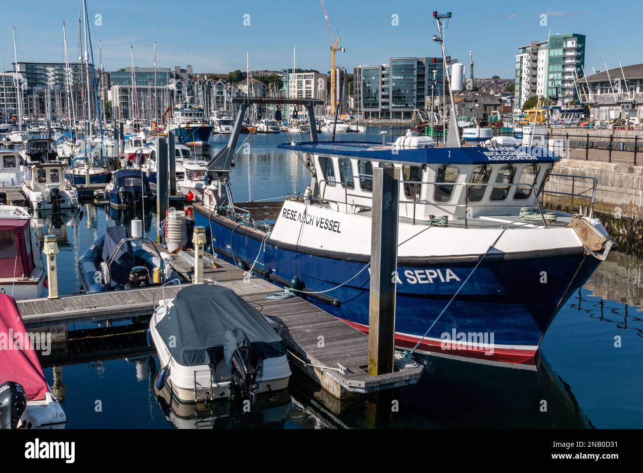 Der MBA Sepia, ein Forschungsschiff der Marine Biological Association, liegt in Sutton Harbour, Plymouth, Devon, Vereinigtes Königreich, vor Stockfoto