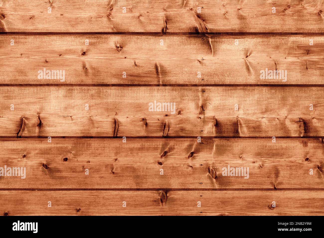 Holzwand aus farbigen Kiefernholzplatten, Nahaufnahme, Vorderansicht, Hintergrundstruktur Stockfoto